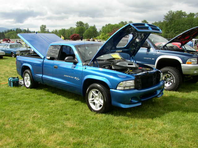 P1010043.JPG